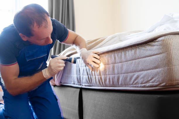 Best Fumigation Services  in Margate City, NJ